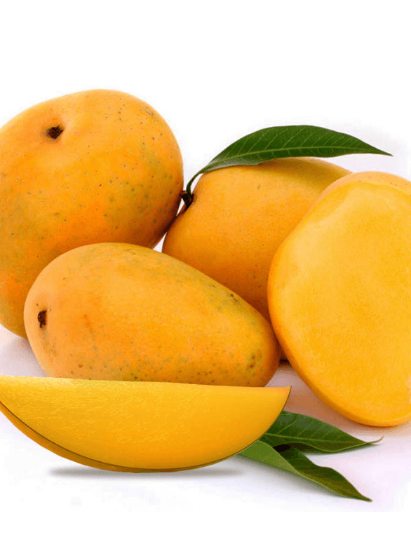 Alphonso mango