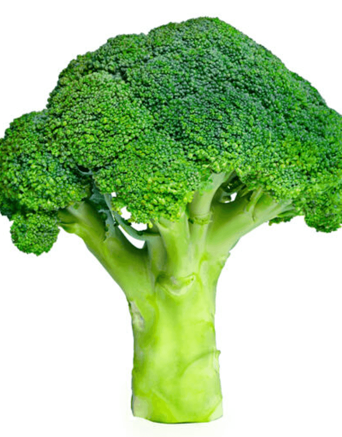 Fresh broccoli