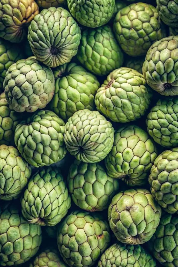 Custard Apple