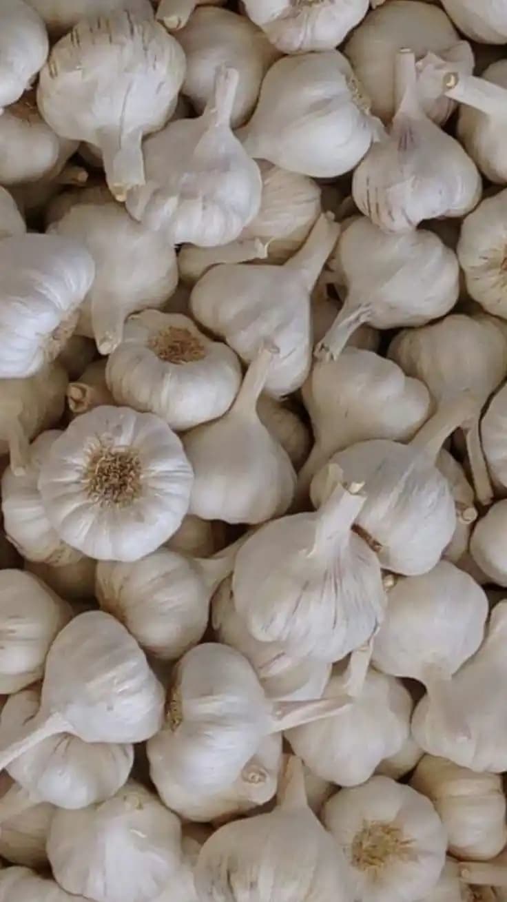 Fresh Garlic (Lehsun)