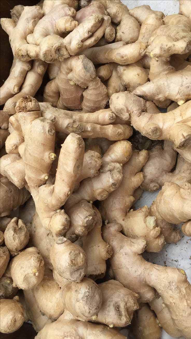 Fresh Ginger (Adrak)