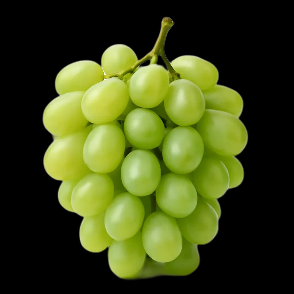 Grapes
