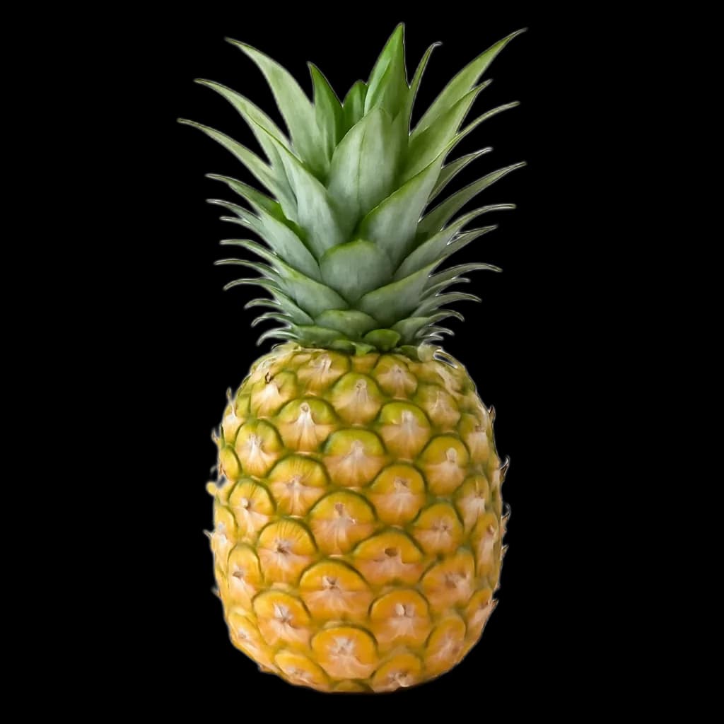 Pineapple
